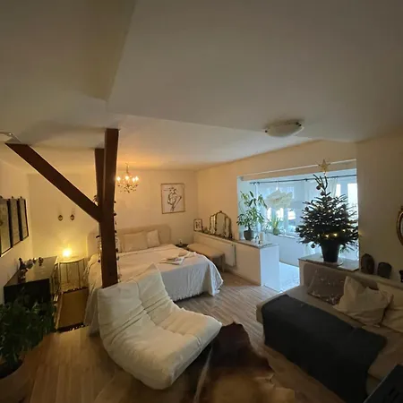 Apartment Flat With Heart And Art Nearby Centre Of The *